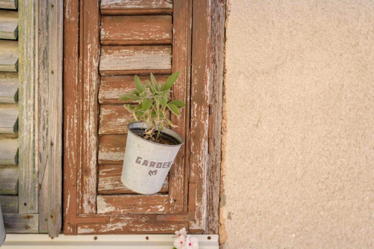 Boutique B&B Mali Pariz Grizane-Belgrad Exterior photo